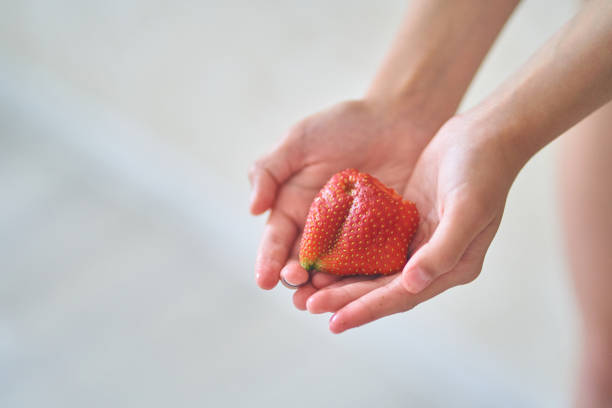 how to maximise kitchen space tips