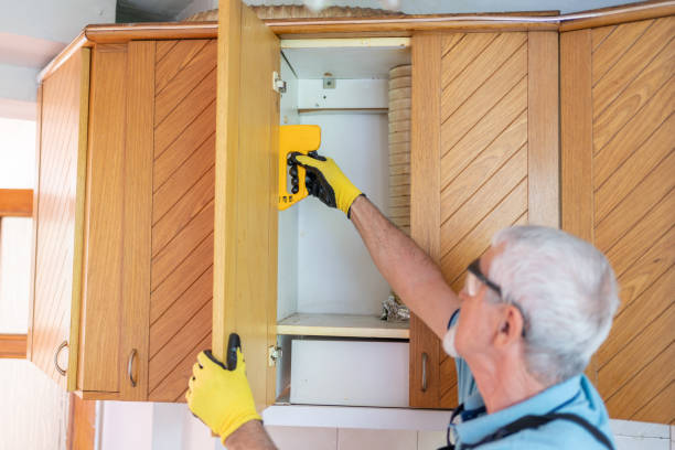 how to remove mold from kitchen cabinets guide