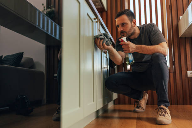 how to clean oil off cabinets guide