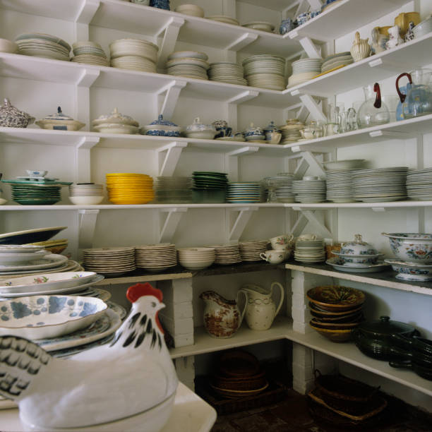 walk in pantry shelf ideas tips